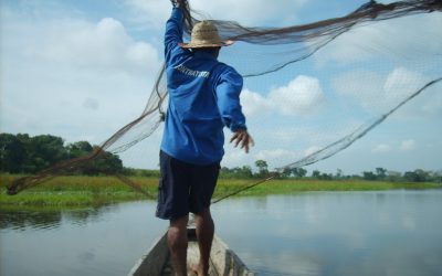 Cormagdalena firmó un memorando de entendimiento con organizaciones ambiental y de pesca para la preservación de humedales y áreas protegidas en el Magdalena Medio