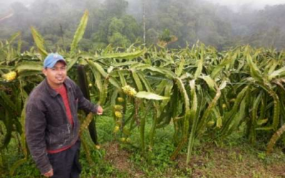 PREPAREDD Huila, impulsa decididamente la comercialización de productos agrícolas en la zona.