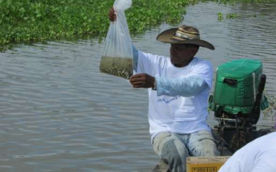 Cormagdalena promueve capacitaciones a pescadores artesanales de Barrancabermeja en manejo seguro de embarcaciones fluviales