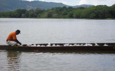 A buen paso avanza construcción del Observatorio para el Manejo Integral y Uso Sostenible de la Cuenca del Rio Magdalena