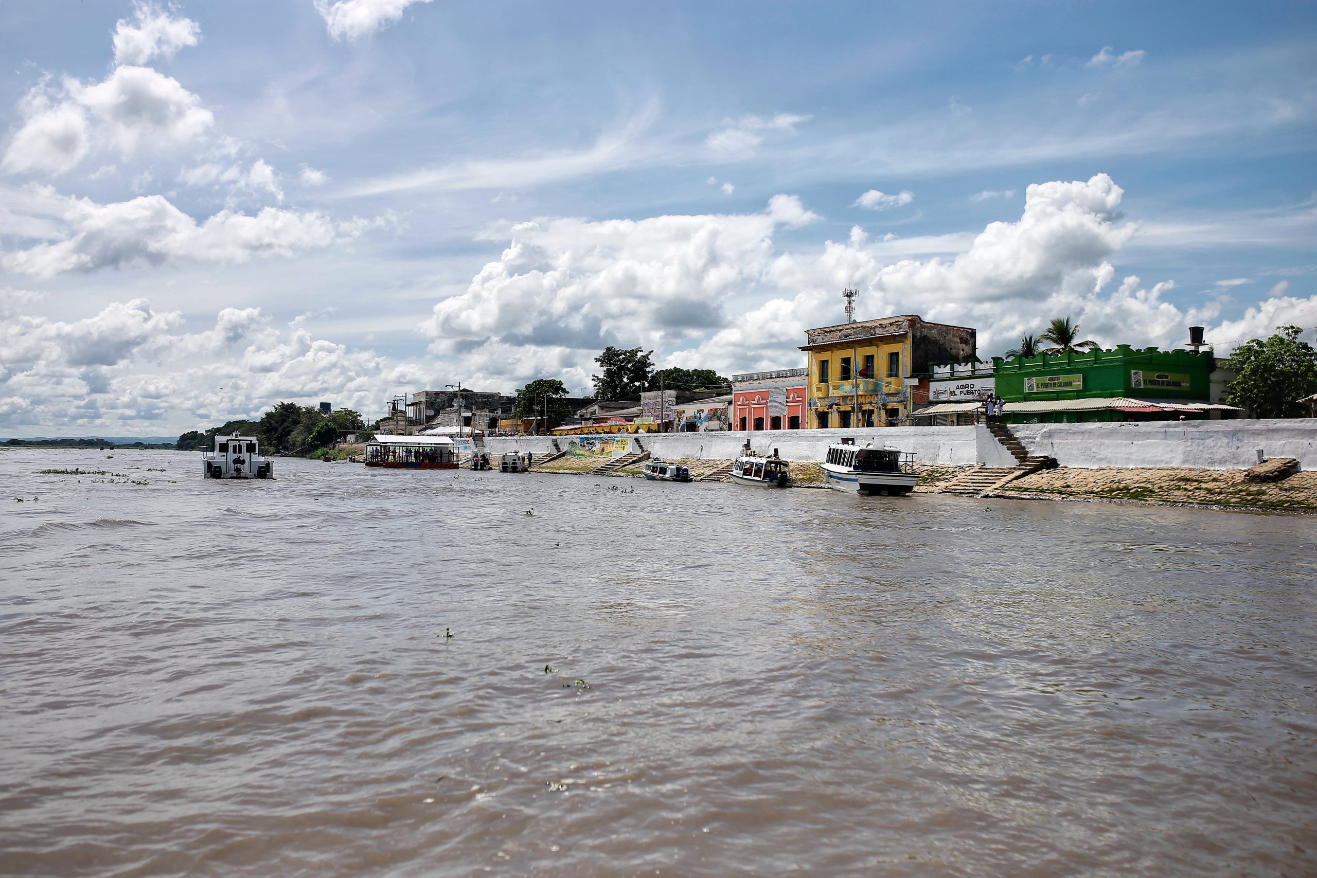 Calamar